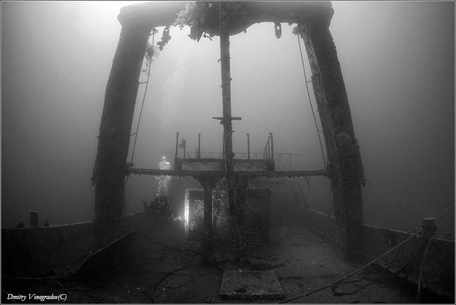 , Дмитрий Виноградов