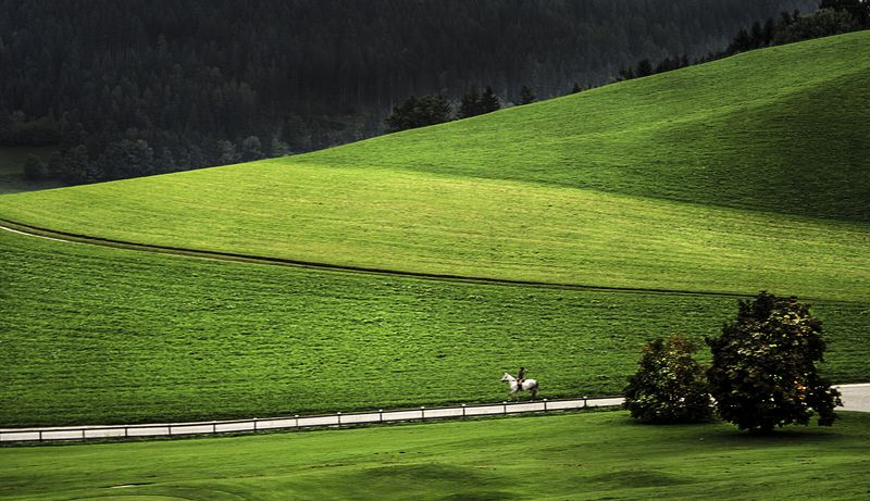 Альпы, Горы, Поля, Природа, Прогулка на лошади  фото превью