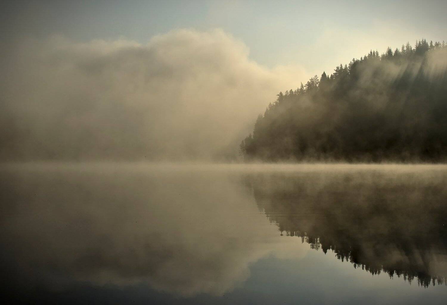 , Мартин Костадинов