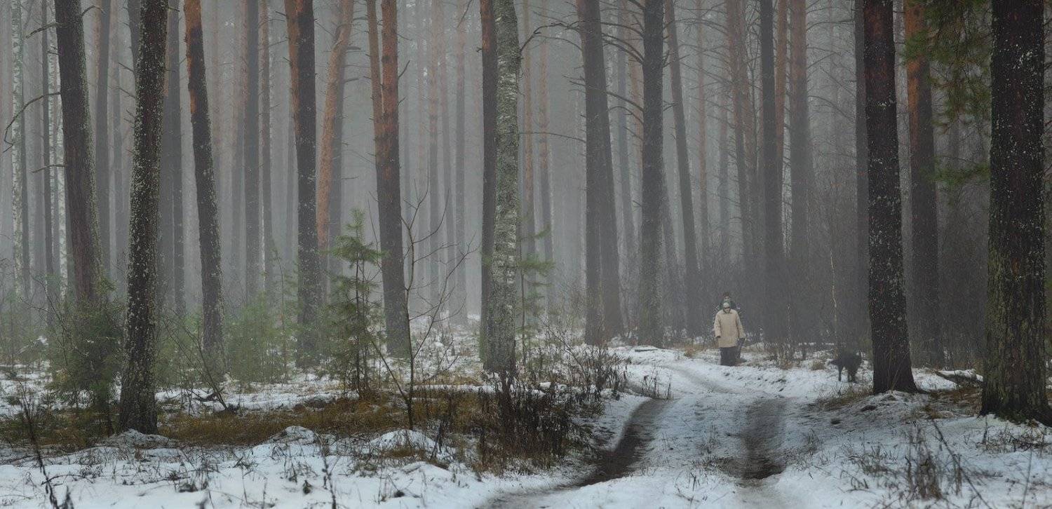, Дмитрий Алексеев