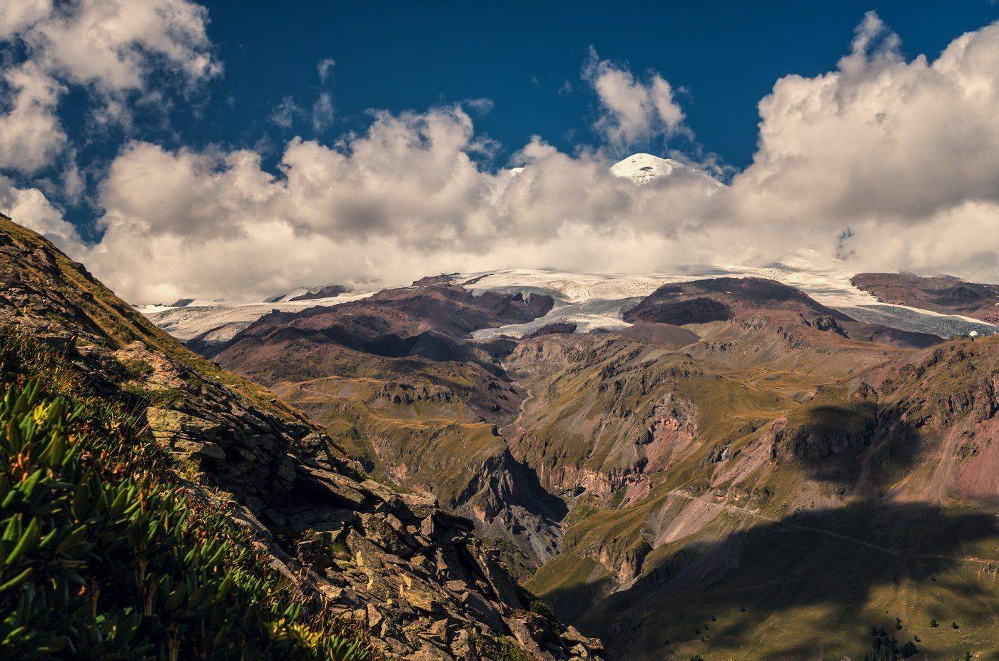 , Игорь Мелекесцев