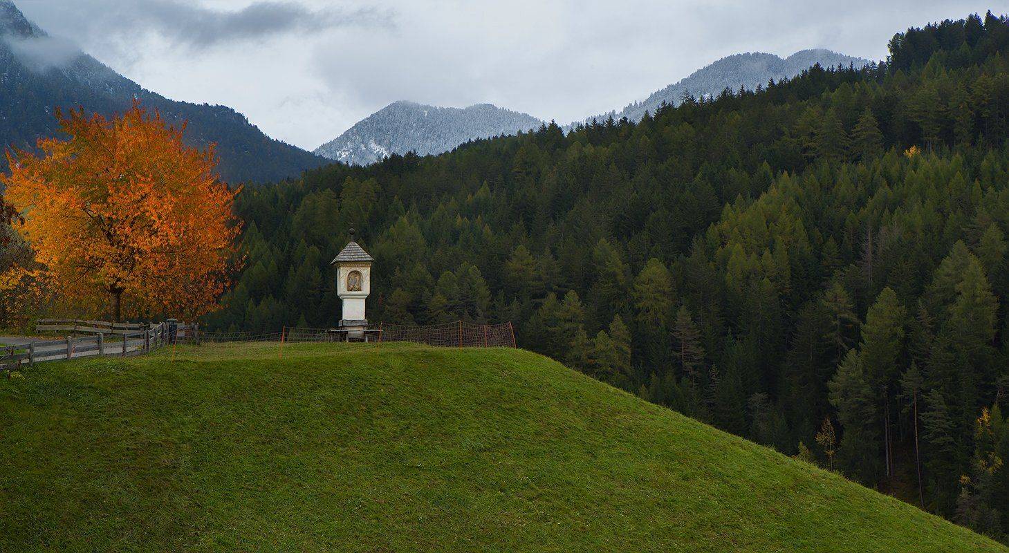 , Игорь Дубровский