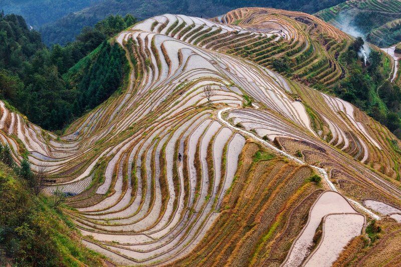 китай Рисовые террасы Драконьего Хребта фото превью