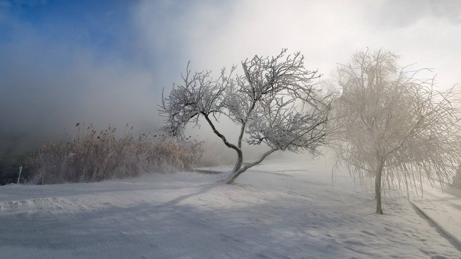 , Алексей Рыльский