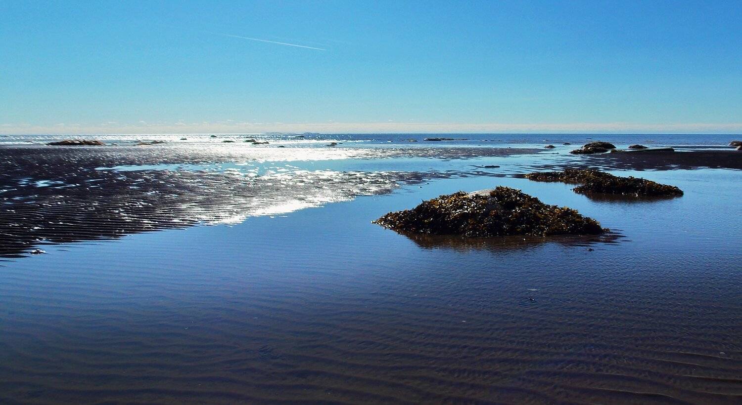 , Марина Никулина