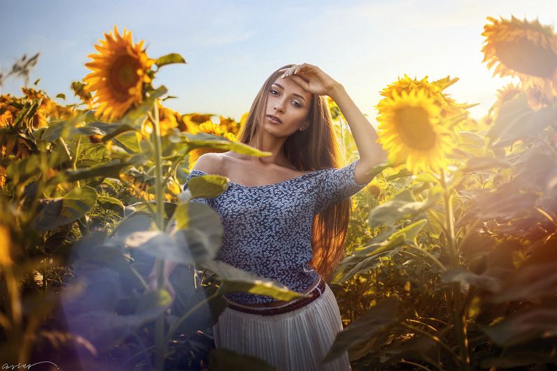 Beauty, Girl, Sky, Summer, SunFlowers, Sunset Summer Memories фото превью