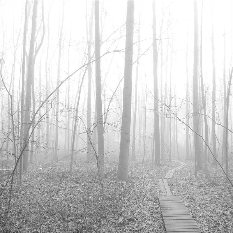 тихая печаль фото превью