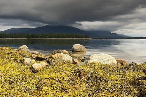 Северное небо