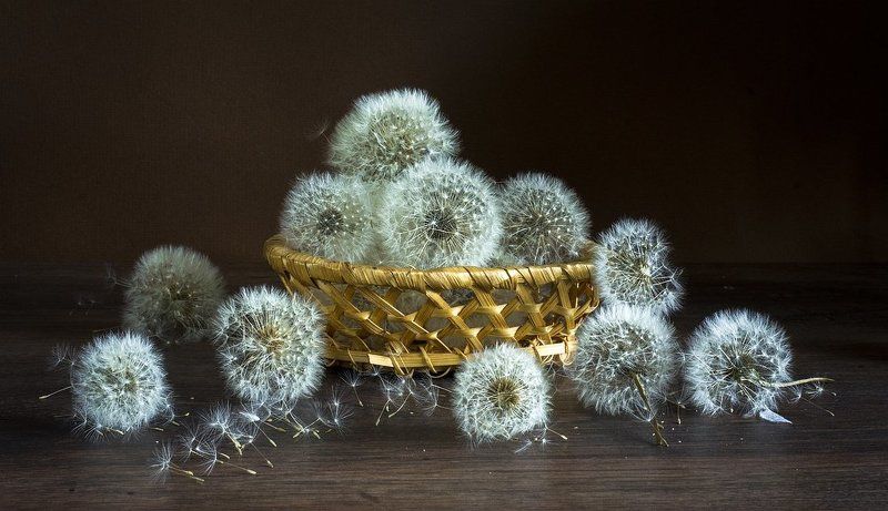 Зефирки ... фото превью