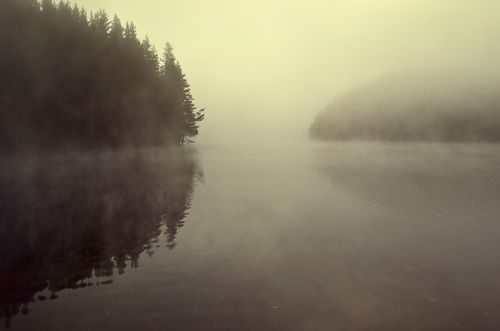 Foggy