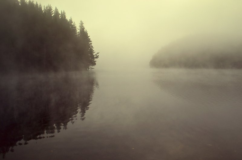 fog, туман Foggy фото превью