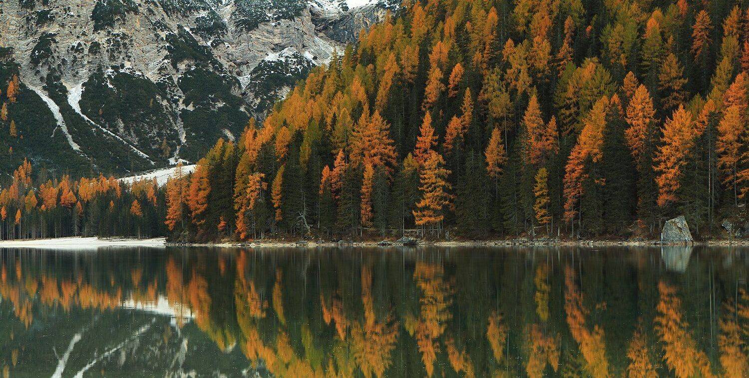 , Игорь Дубровский