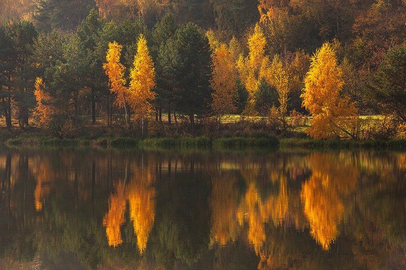 Дозволь наглядеться... фото превью