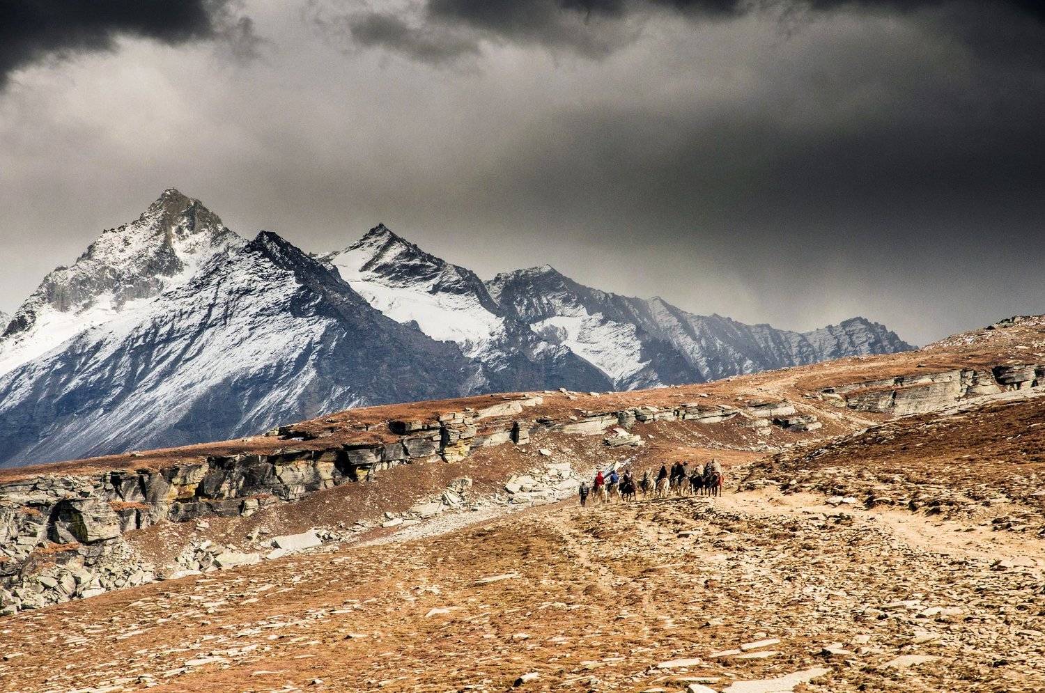 , Алексей Кретов