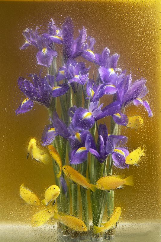 Фотопроект \