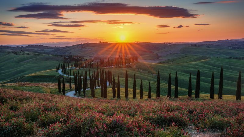 фото превью