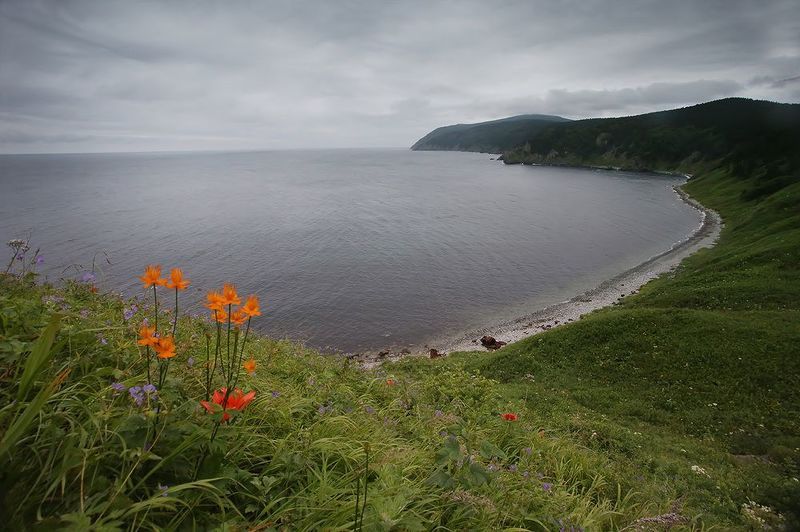 татарский пролив, дальний восток Бухта Базарная фото превью