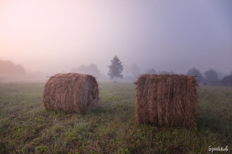 Катушки сена. фото превью