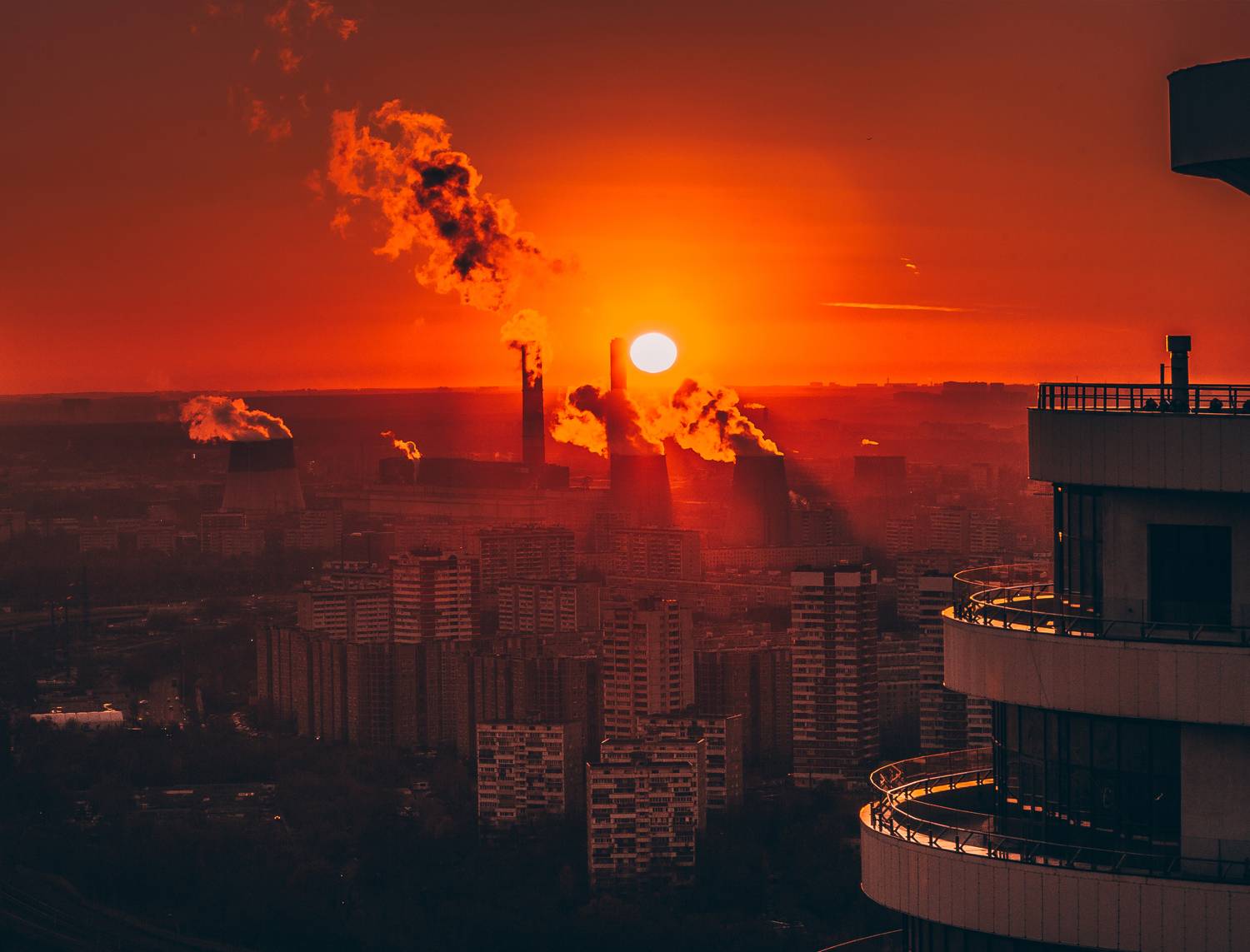 , Трепольский Дмитрий