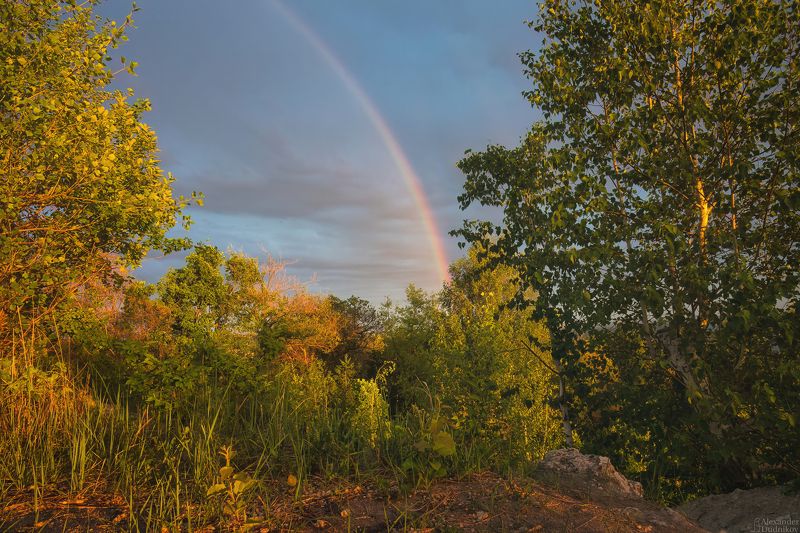 природа, пейзаж, самарская область, деревья, радуга, закат,  sunset, landscape, tree, sky, nature, rainbow Радуга в Сокольих горах фото превью