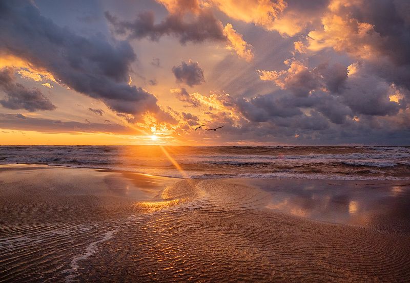 Зеленоградск фото превью