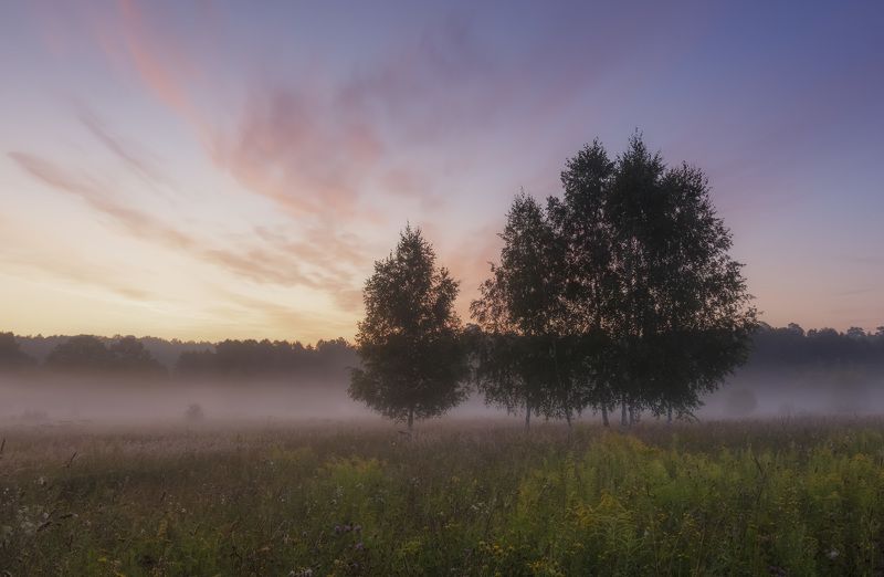 рассвет Август фото превью