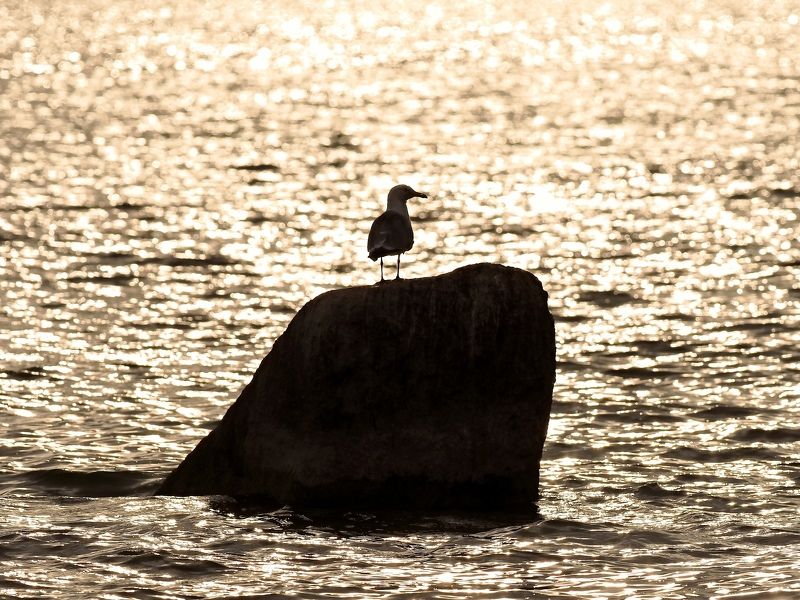 Рассвет на Шарташе фото превью