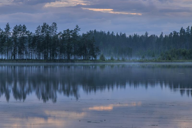 закат, озеро, туман, отражение, облака, лес Прозрачный вечер фото превью