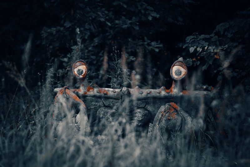 фото превью