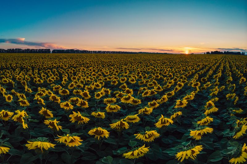 Август фото превью