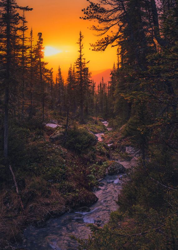 вечер в Саянах фото превью