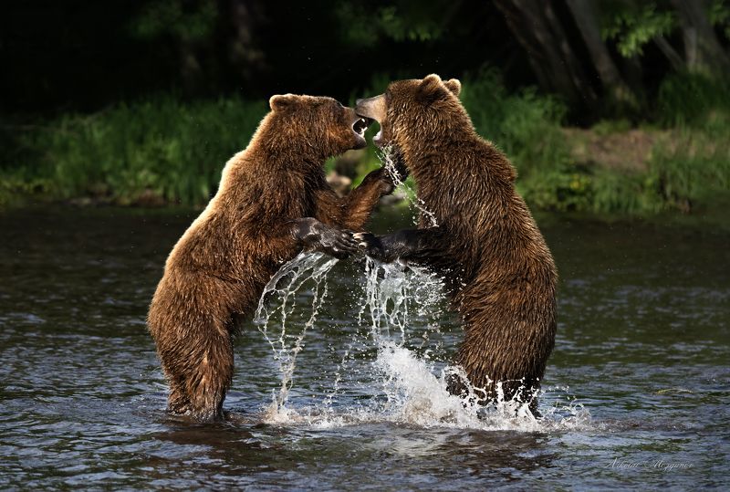 Выяснение отношений фото превью