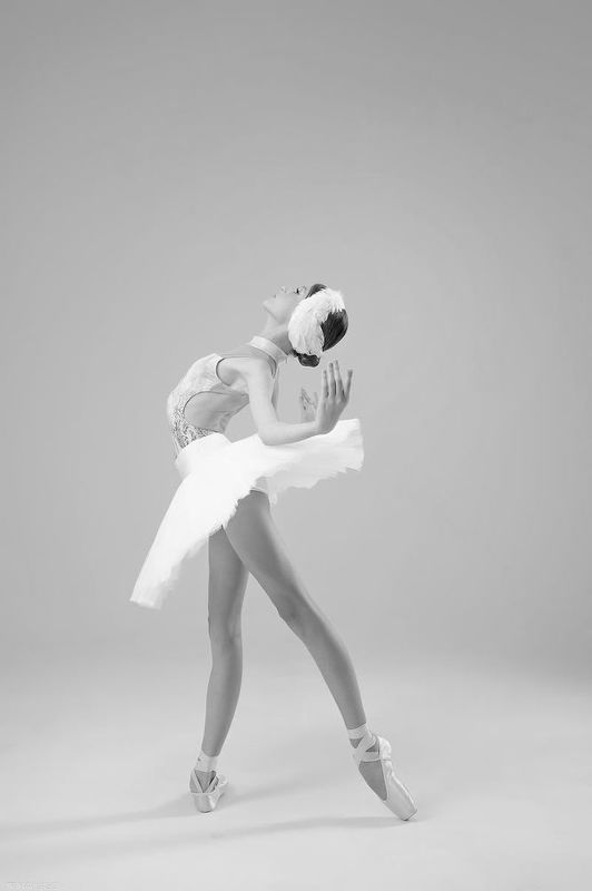 балетная фотосессия БАЛЕТ фото превью
