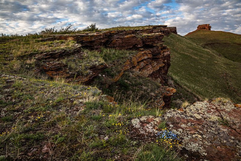 Саяны, Хакасия, заповедник Сундуки, пейзаж, весна, цветы  фото превью