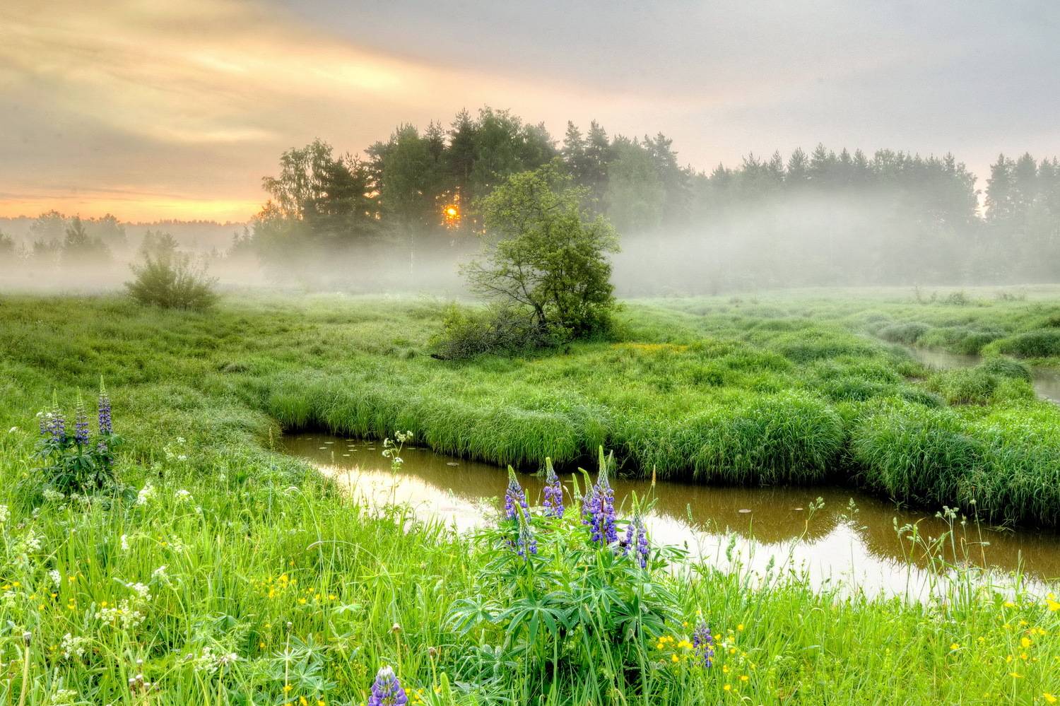 , Добролюбова Тамара