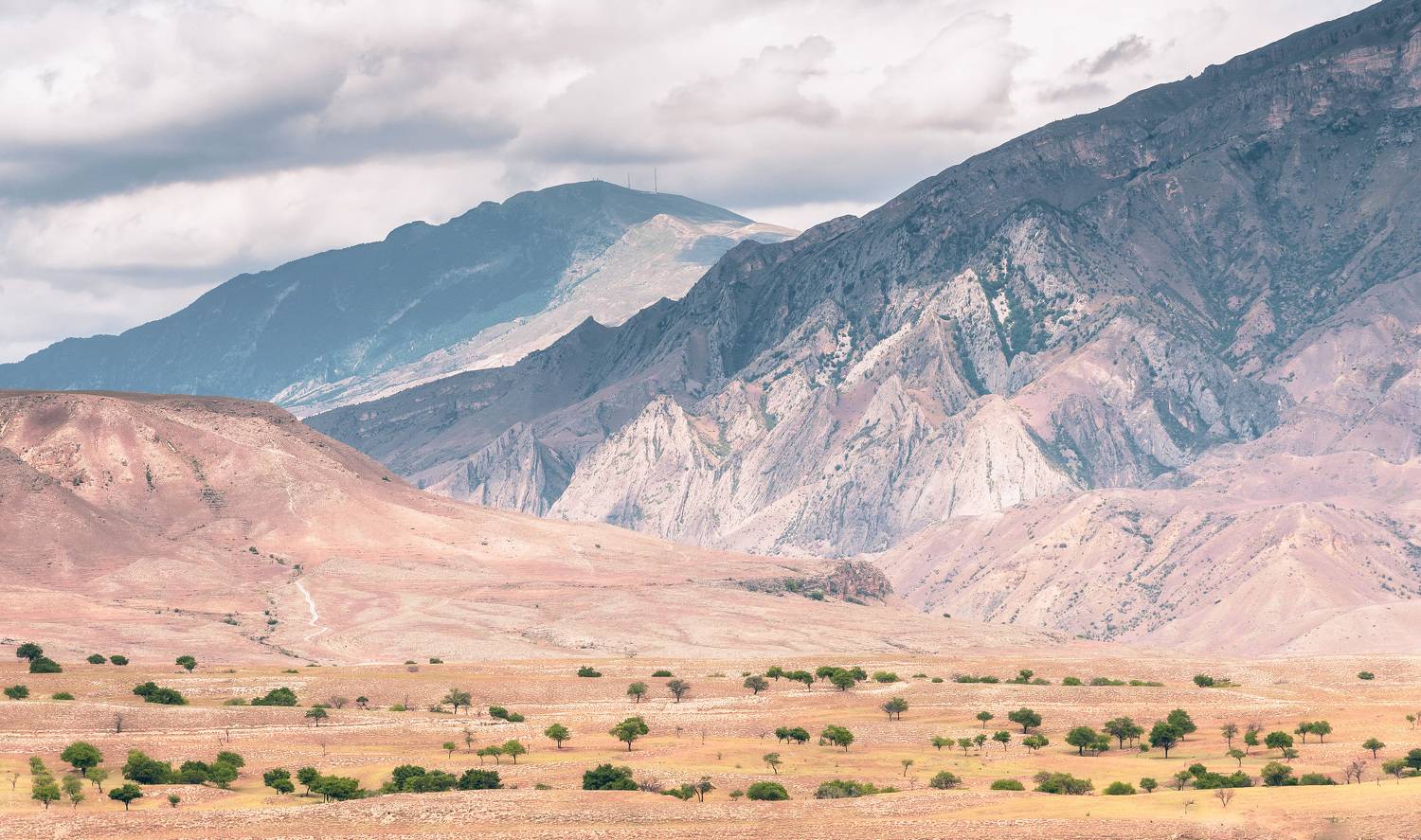 , Силантьев Даниил