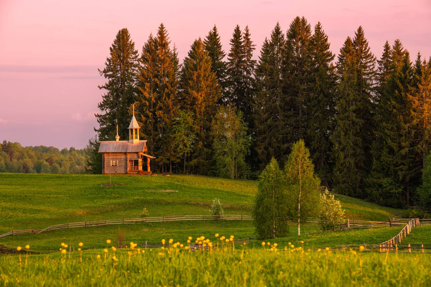 , Максим Евдокимов