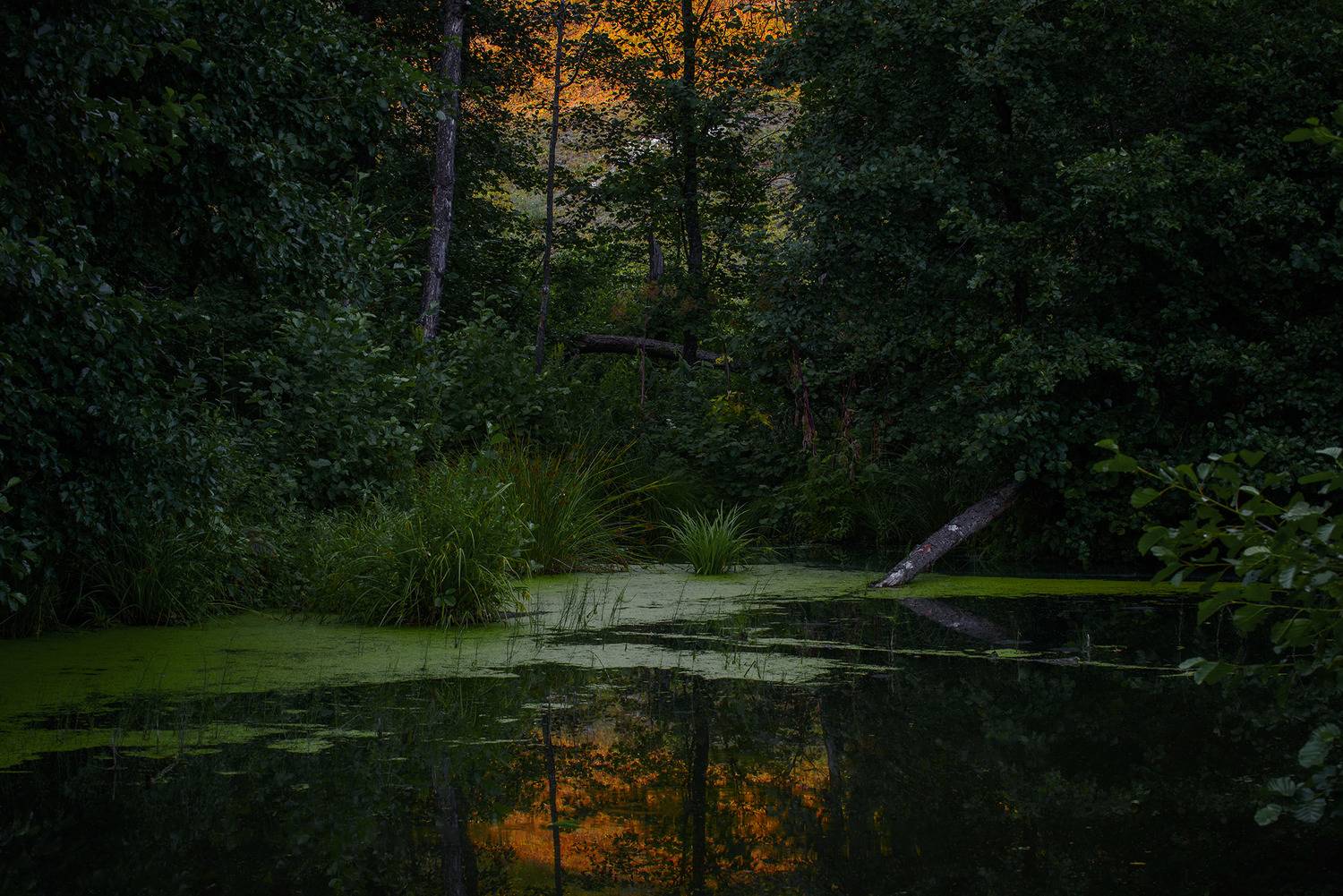 лето озеро закат ночь, Владислав Никишин