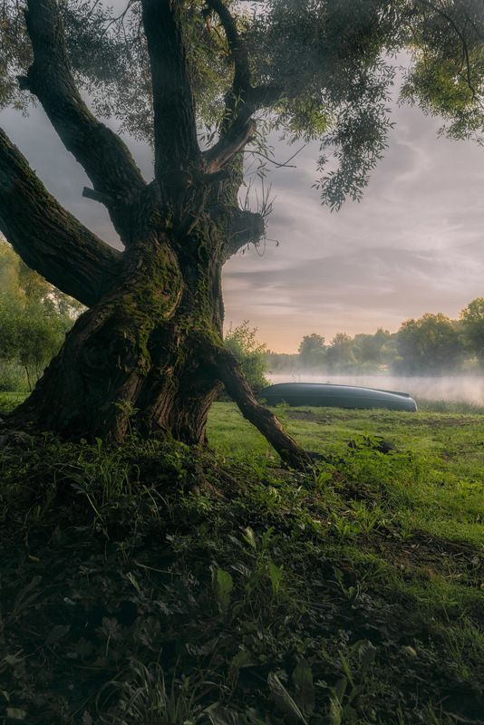 утренний пробуждения фото превью