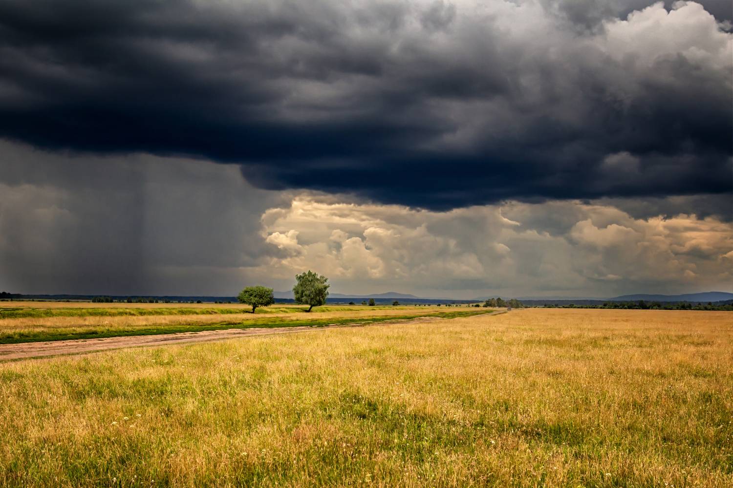 , Глухарёва Ольга