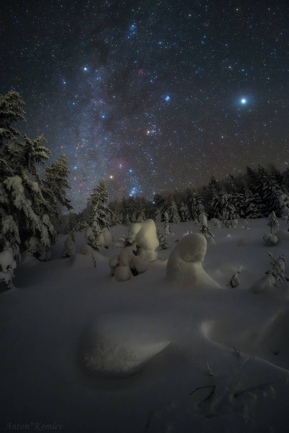 зима, звезды, орион, снег, ночь, елки, приморье, горы, Комлев Антон