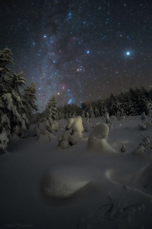 зима, звезды, орион, снег, ночь, елки, приморье, горы Зимние метаморфозы фото превью