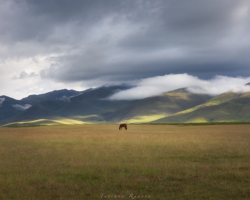 На рассвете после дождя... фото превью