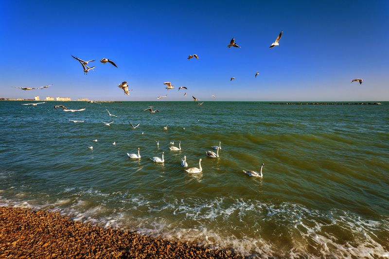 море Черное фото превью