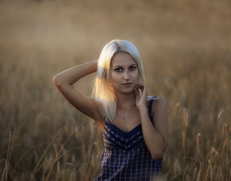 на закате в поле фото превью