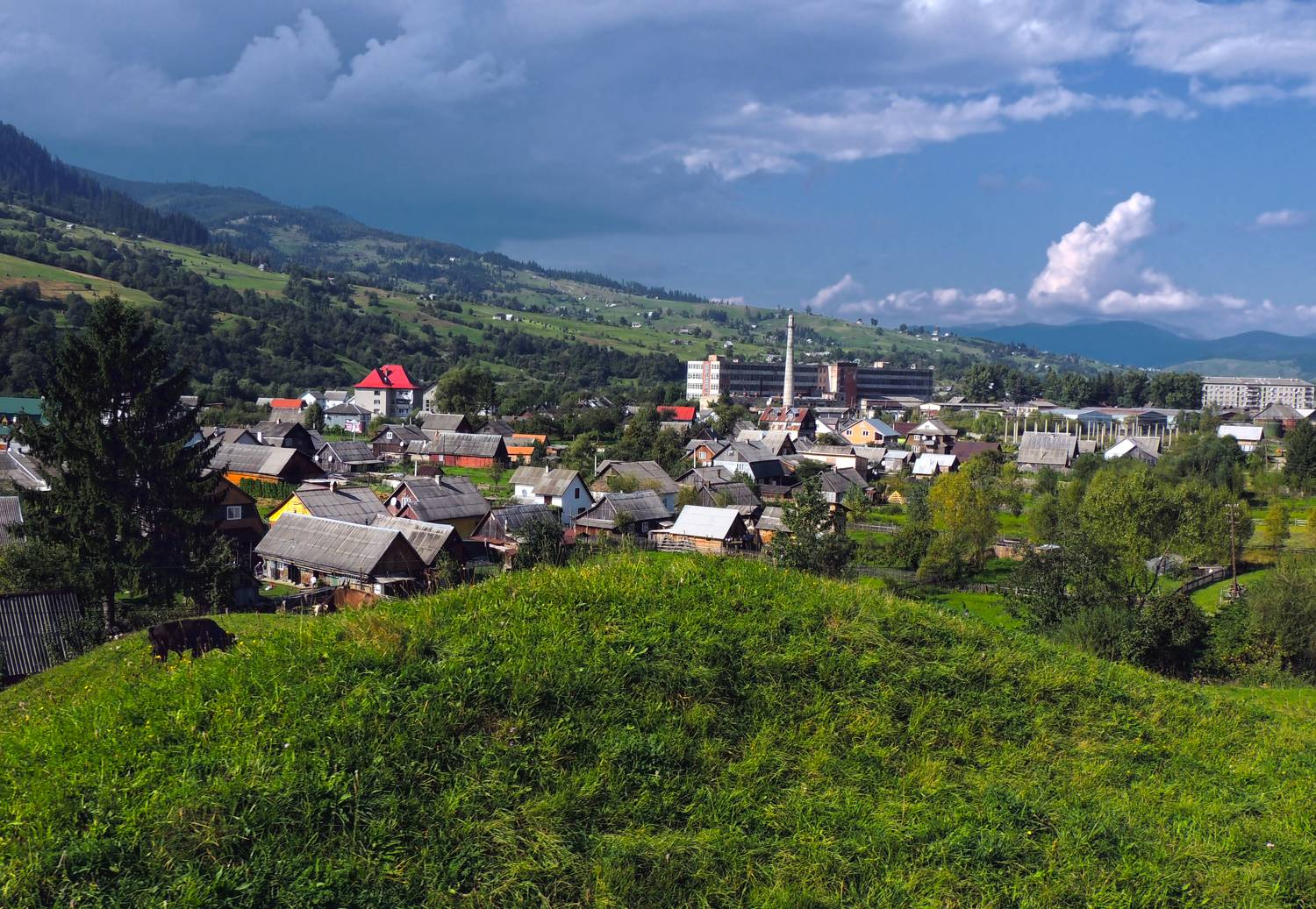 , Савоцкий Роман