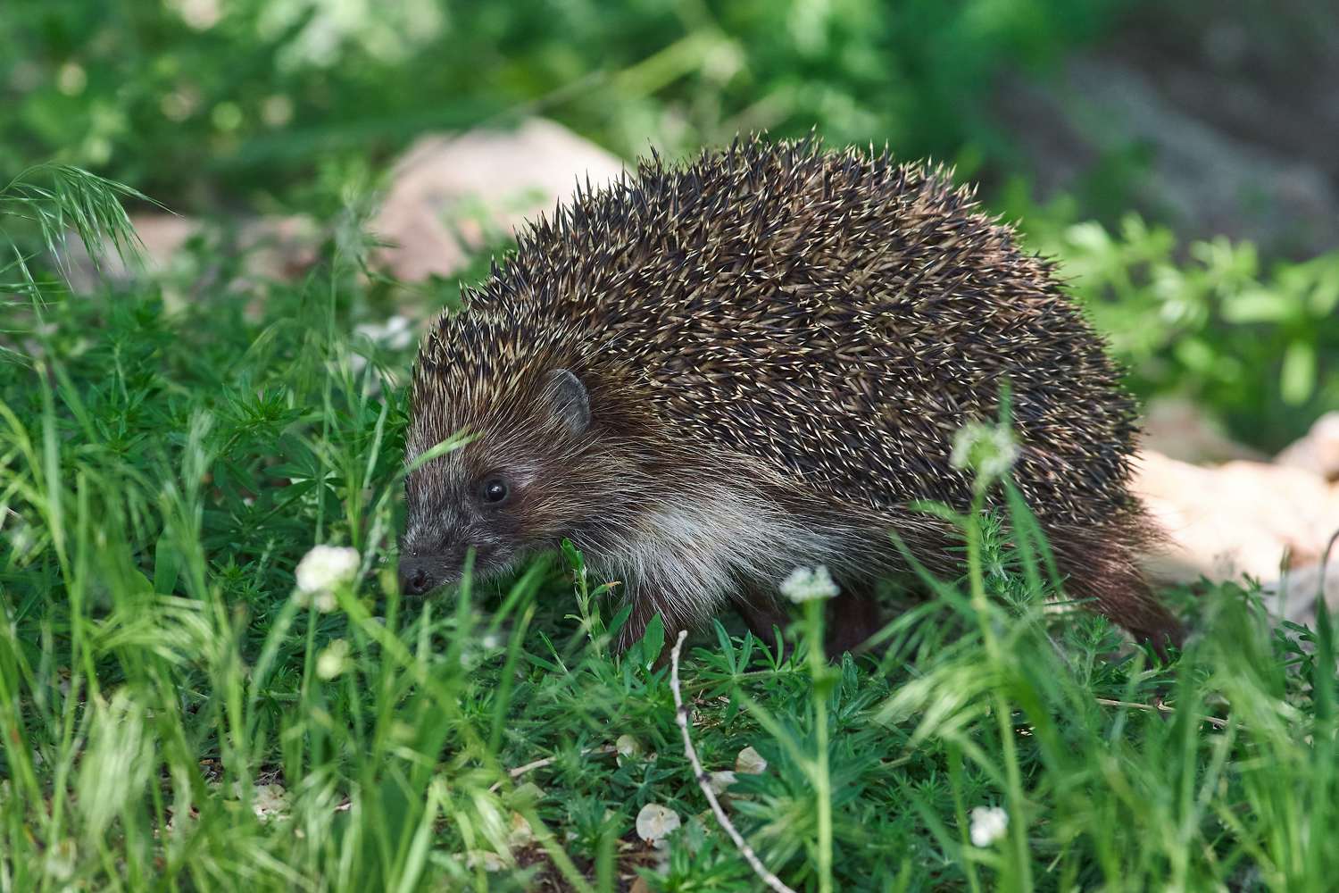 volgograd, russia, , Павел Сторчилов