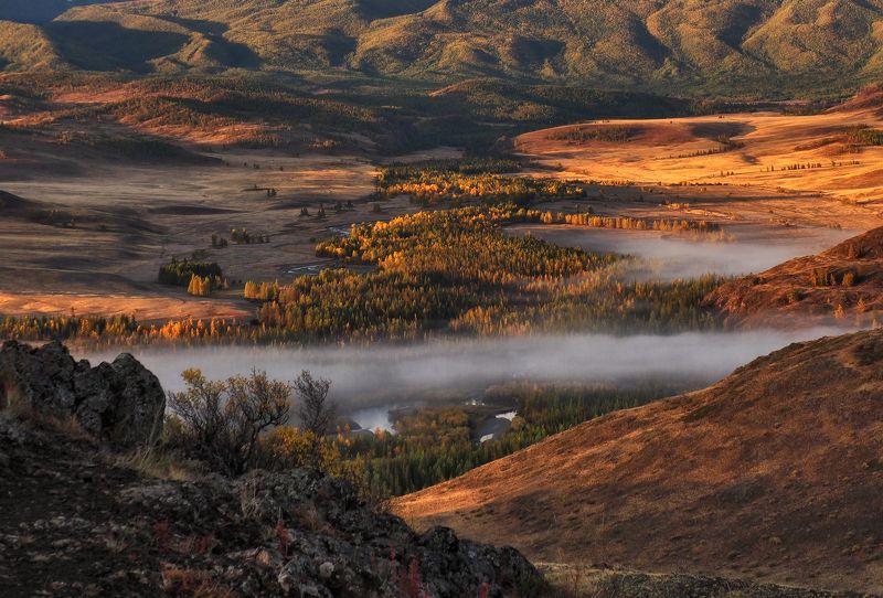 курайская степь, алтай, чуя, горный алтай, курай Утро фото превью