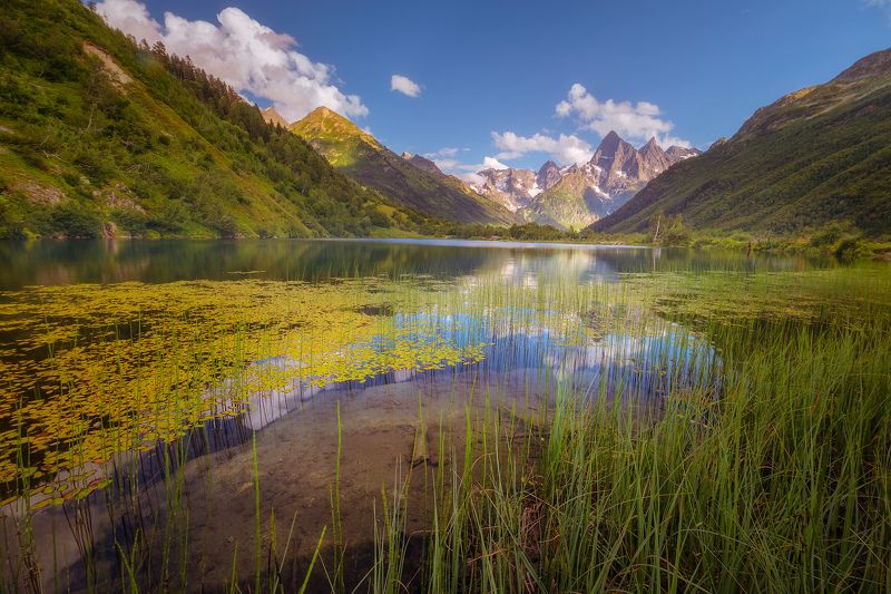 домбай, туманлы-кель, теберда, лето Тихое озеро фото превью