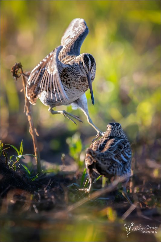 Русские мушкетёры фото превью
